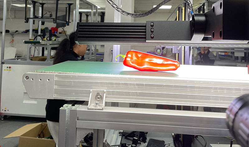 2-251205151304L7 拷贝 2.jpg